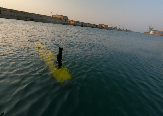 auv4